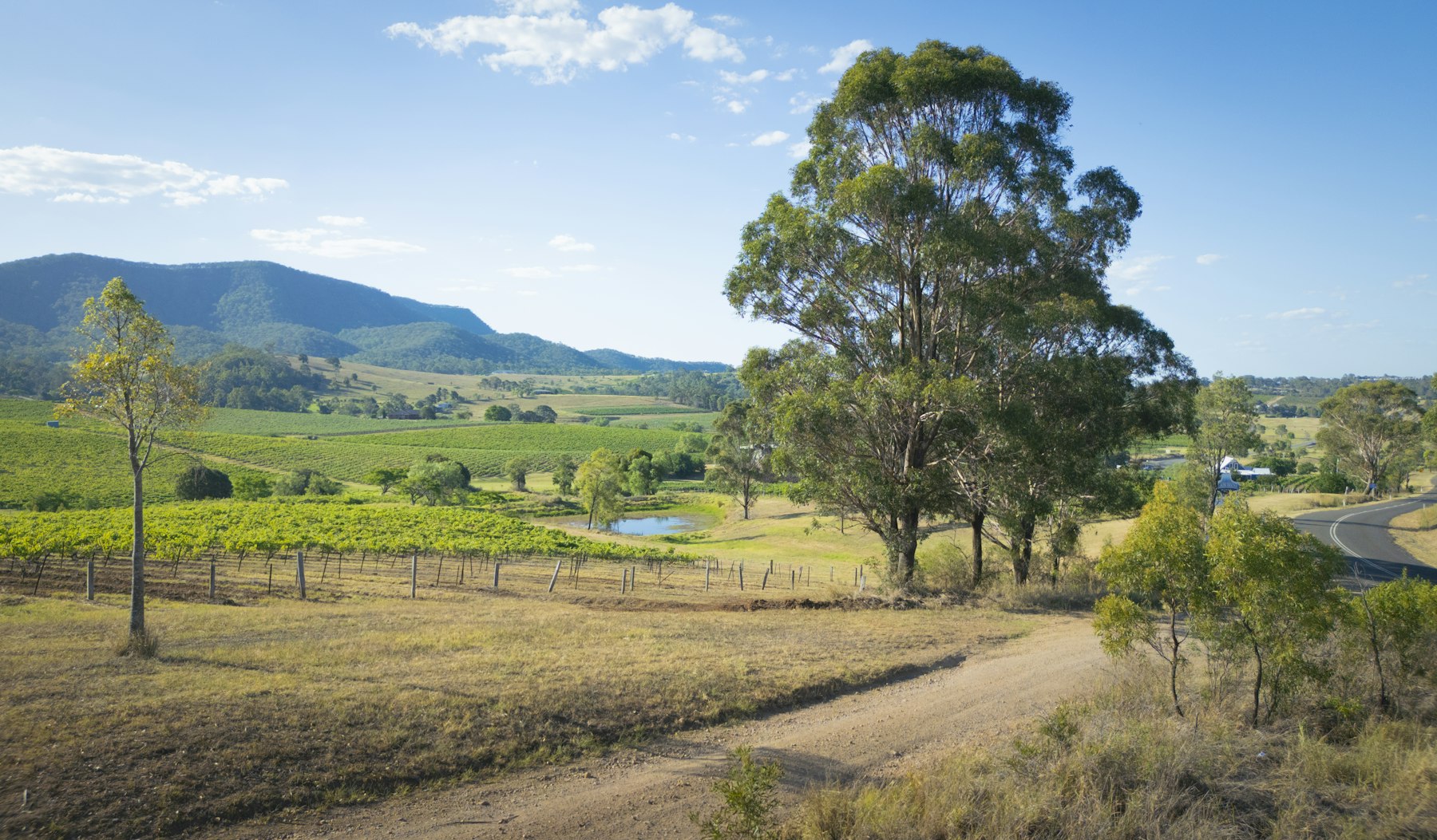 Country road winding through green paddocks