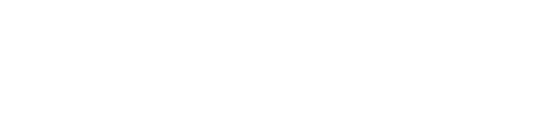 Website Design Launceston logo